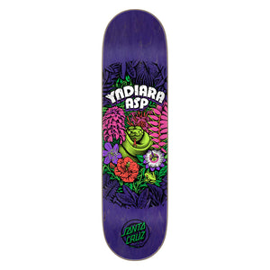 Asp Flores Twin Deck 8.25